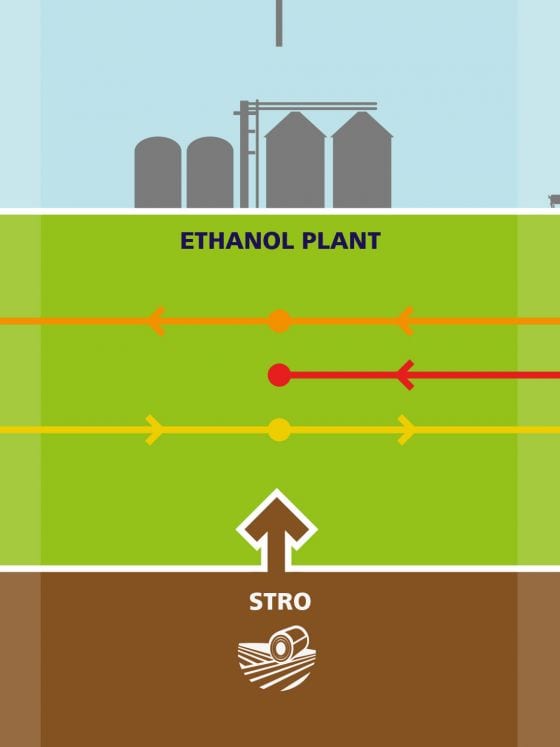 Infographic biomassa