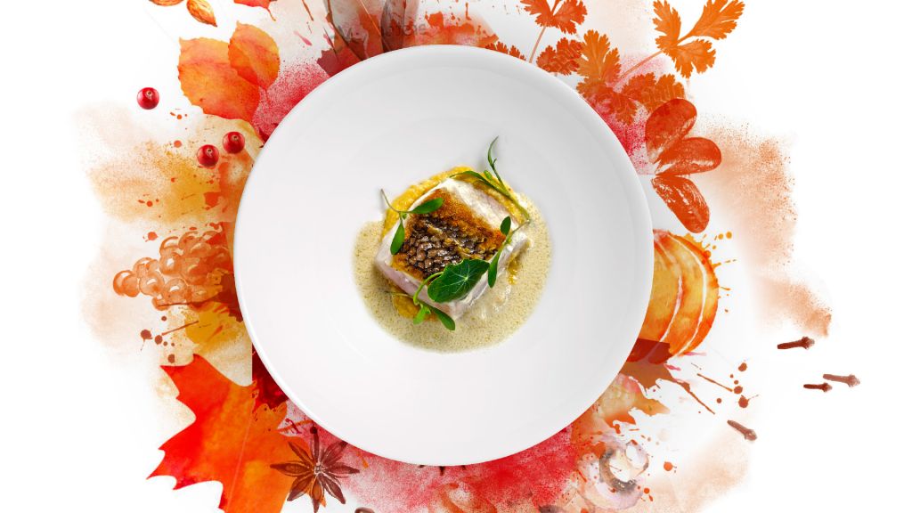 HoefslagHoofdbeeld projecten