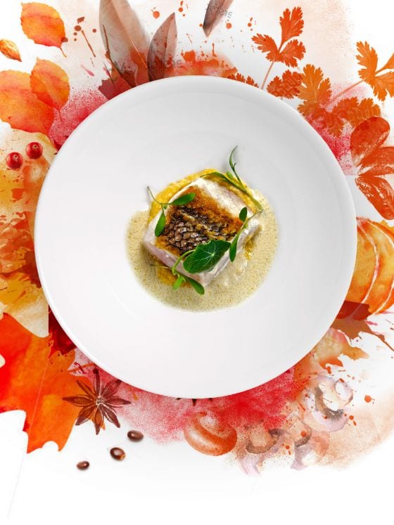 Symbiose van fine dining, bistro, bar en conference