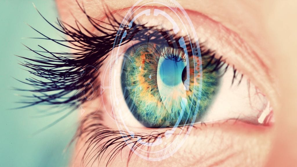 Schiphol BioHoofdbeeld projecten